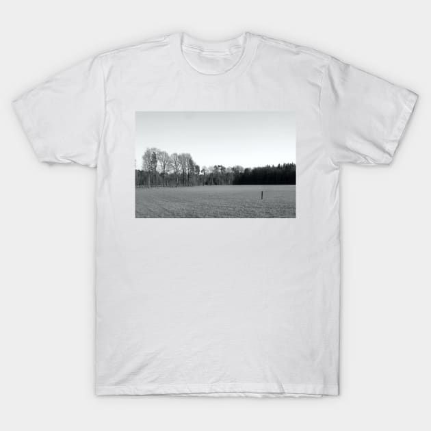 An Acre in wintertime T-Shirt by robelf